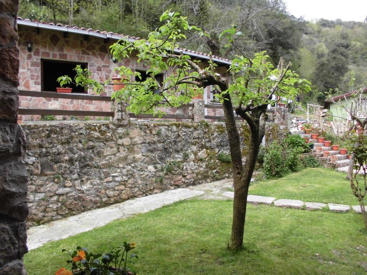 El Molino Hotel Arenas De Cabrales Exterior foto